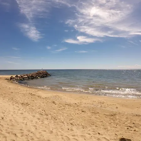 William's - Fifth Amazing Sveti Vlas