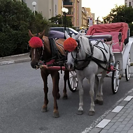 William's - Fifth Amazing * Sveti Vlas