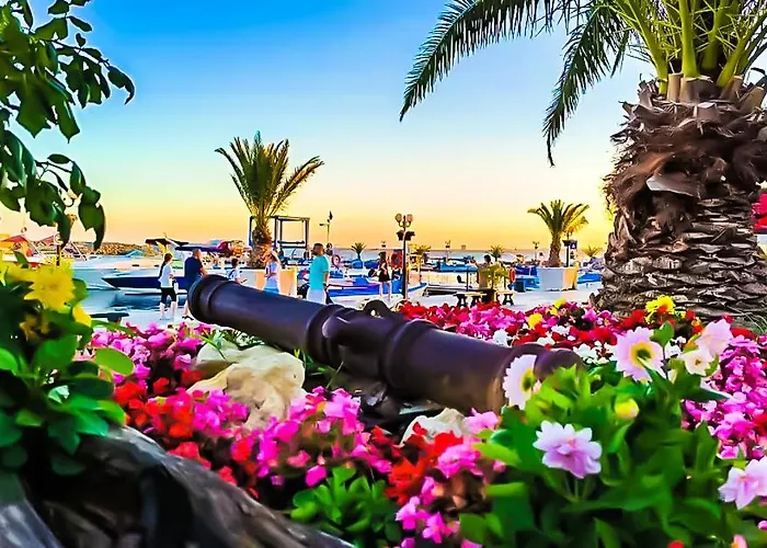 William's - Fifth Amazing * سفيتي فلاس