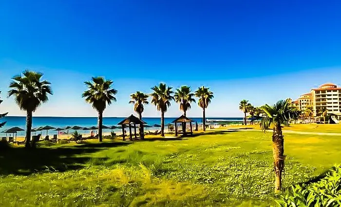 William's - Fifth Amazing * سفيتي فلاس